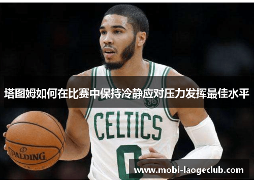 塔图姆如何在比赛中保持冷静应对压力发挥最佳水平