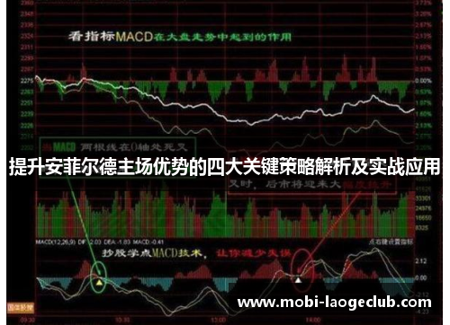 提升安菲尔德主场优势的四大关键策略解析及实战应用 提升安菲尔德主场优势的四大关键策略解析及实战应用