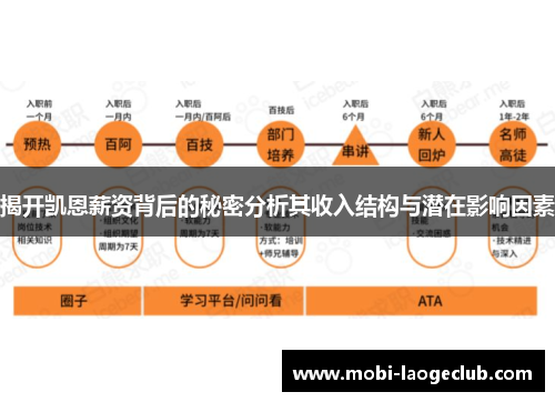 揭开凯恩薪资背后的秘密分析其收入结构与潜在影响因素 揭开凯恩薪资背后的秘密分析其收入结构与潜在影响因素