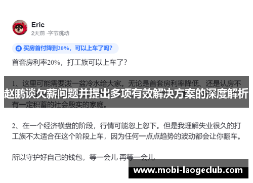赵鹏谈欠薪问题并提出多项有效解决方案的深度解析
