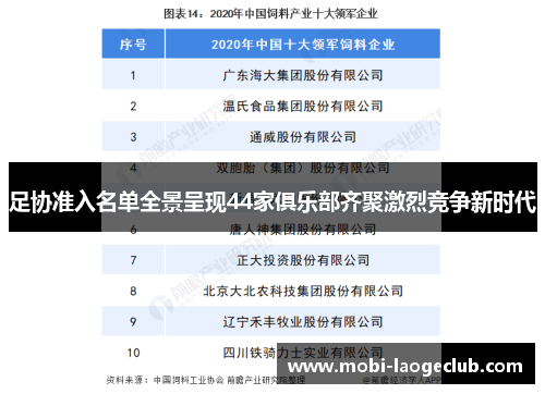 足协准入名单全景呈现44家俱乐部齐聚激烈竞争新时代