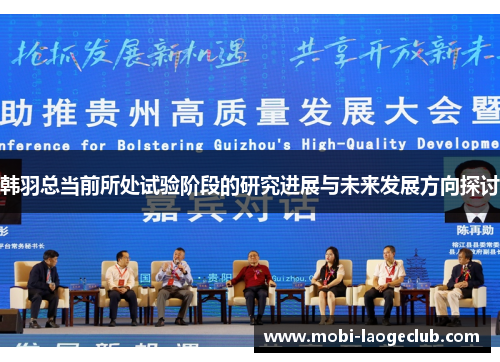 韩羽总当前所处试验阶段的研究进展与未来发展方向探讨