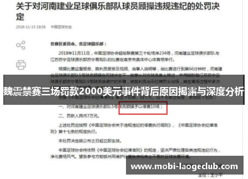 魏震禁赛三场罚款2000美元事件背后原因揭露与深度分析