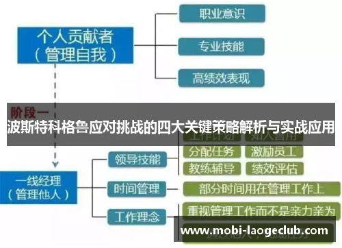 波斯特科格鲁应对挑战的四大关键策略解析与实战应用 波斯特科格鲁应对挑战的四大关键策略解析与实战应用