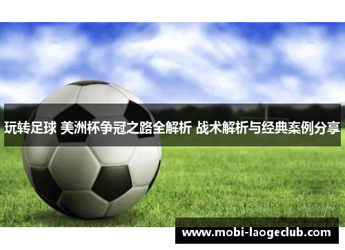 玩转足球 美洲杯争冠之路全解析 战术解析与经典案例分享 玩转足球 美洲杯争冠之路全解析 战术解析与经典案例分享