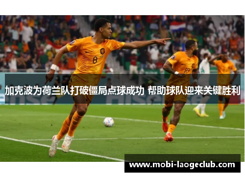 加克波为荷兰队打破僵局点球成功 帮助球队迎来关键胜利