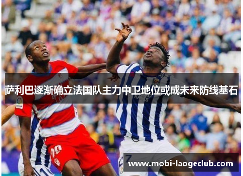 萨利巴逐渐确立法国队主力中卫地位或成未来防线基石