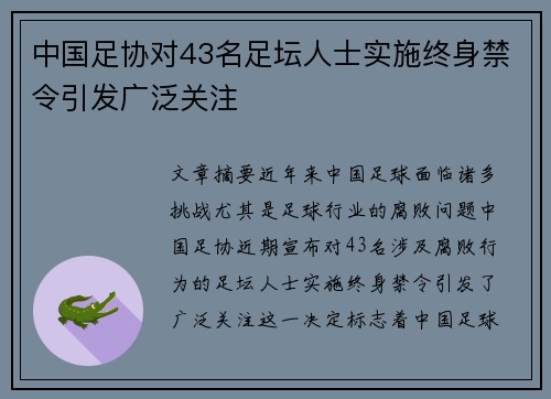 中国足协对43名足坛人士实施终身禁令引发广泛关注